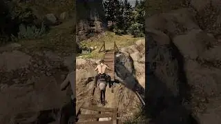 Crazy Things I Tried in Red Dead Redemption 2
