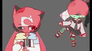 the test video