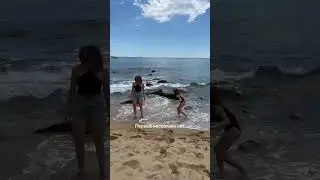 Мой опыт 