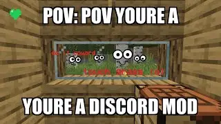 Minecraft, but I’m a Discord Mod