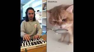 Давай ням ням)