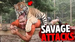 These 3 Captive Tigers Took REVENGE on Zookeepers & Staff!