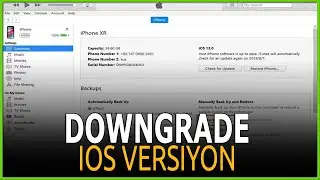 Downgrade From iOS 17 to iOS 16 Without Losing Data Using Tenorshare Reiboot 