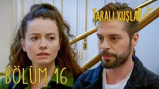 Yaralı Kuşlar 16. Bölüm