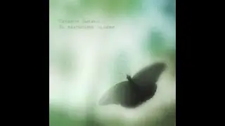 Татьяна Зыкина - Мотылёк (Альбом "За закрытыми окнами", 2015, short version)