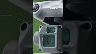 🎯 