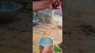 Milking ❤️💥#shortvideos #beautiful #cow #viralvideos #trending #nature #shorts #short #shortsfeed