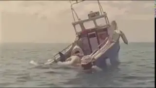 Shark Meme - FUNNY MEMES