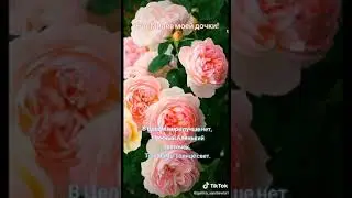 это меня мама поздравила с 8 марта ия её тоже ,у меня сегодня супер классное настроения !!!🌹🌹🌹🌹🌹