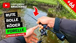Die passende Angelausrüstung zum Forellenangeln 🐟 😍 🎣