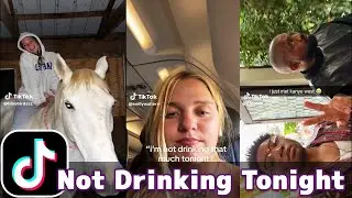 I'm Not Drinking That Much Tonight | TikTok Compilation