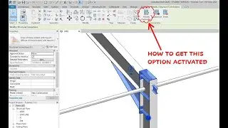 Modify parameter icon is grayed out Revit 2020 Troubleshooting