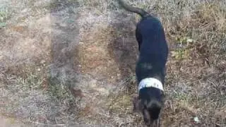 Lin y la pelota (2)