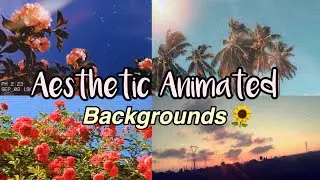 Aesthetic Animated Backgrounds ~Huge Pack!