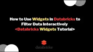 How to Use Widgets in Databricks to Filter Data Interactively | Databricks Widgets Tutorial