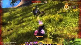 My Guild Wars 2 Character in Action: Mesmer Class