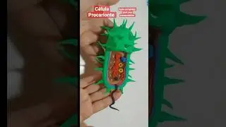 Como Fazer Uma Célula Procarionte de Biscuit