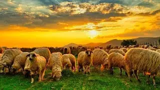 Sadri Christian Song 2021 | Nagpuri Christian Song | New Sadri Christian Song |Devotional Sadri song