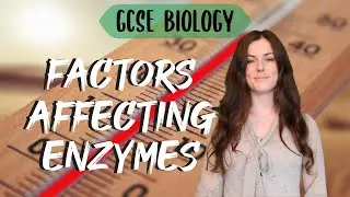 FACTORS AFFECTING ENZYMES GCSE Biology 9-1 | Combined Sci (Revision & Qs)
