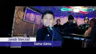 Janob_Sherzod. Dama-dama. 2019