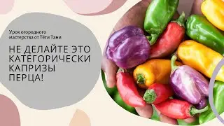 КАПРИЗЫ перцев...