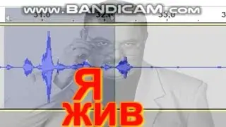 Михаил Круг вышел на связь через ЭГФ (ФЭГ) † голос круга