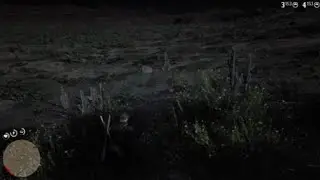 Red Dead Redemption 2 kill cam