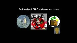 SULS OR CHEESY