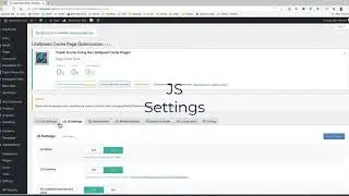 Litespeed Cache Plugin conflicts with Facebook Pixel