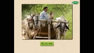 History Concept दळणवळण - Communication (3-4 grade) Marathi med