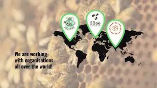 Helping Bees, People and the Planet!