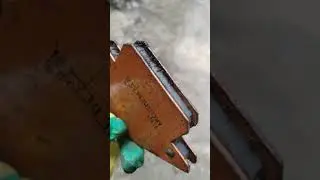 Век живи, век учись. 