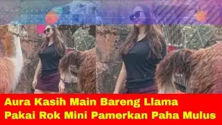 Aura Kasih Main Bareng Llama Pakai Rok Mini Pamerkan Paha Mulus