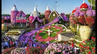 Дубай. Сад Цветов 1