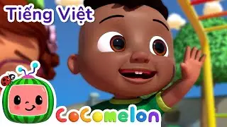 Bắt Đầu Bằng Cái Vẫy Tay | Bài hát dành cho trẻ em | CoComelon Lồng tiếng việt