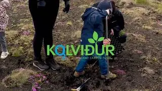 Environmentally friendly travel in Iceland