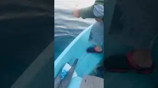 ölüdenizde canlı karadesle 2.100 gr plaka gridası
