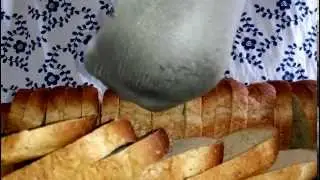 Dirty socks crush and trample bread ! ( part 1)
