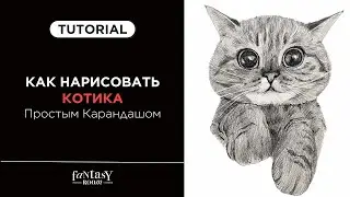 Как нарисовать котика простым карандашом