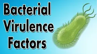 Bacterial Virulence Factors