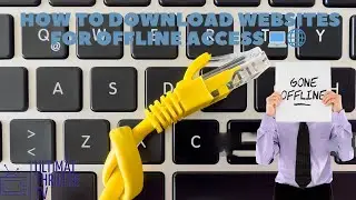 Guide: Downloading Web Pages for Offline Viewing by Browser (Microsoft Edge) | Save & View Offline