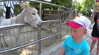 Музей миниатюр и зоопарк в Бахчисарае