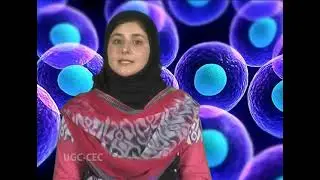 Cell Cycle