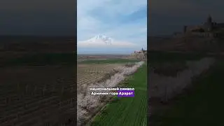 Поехали в Армению