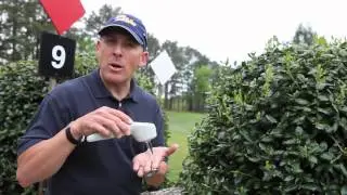 Laserpuncture insights with Chad Davis, DVM