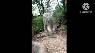 Мы не знаем что это такоеI/We don’t know what it is