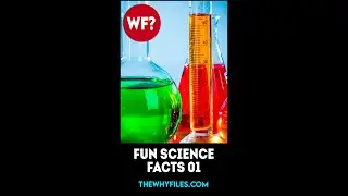 Fun Science Facts 01 - The Why Files 