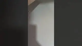 лакомство для муравьёв