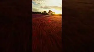 AM I DREAMING #drone #fpv #fpvdrone #filmowanie