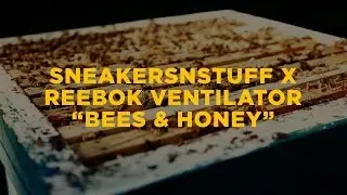 Sneakersnstuff x Reebok Ventilator ”Bees & Honey”